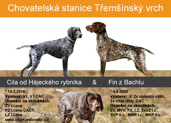 tremsinsky-vrch-kryti-i