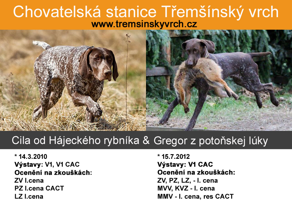 tremsinsky-vrch-kryti-ii